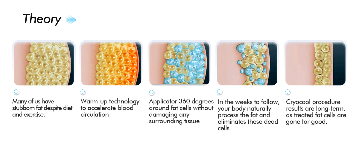 Máy Giảm Béo Quang Đông 360 CRYOLIPOLYSIS | Cao Cấp Bắc Kinh 2 MÁY GIẢM BÉO QUANG ĐÔNG 360 Cryolipolysis SANHE - 05